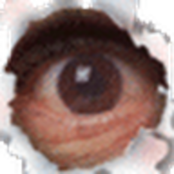 organizedc